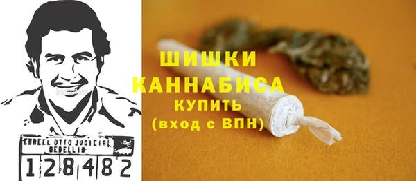 бошки Алексин
