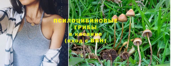 дживик Пролетарск