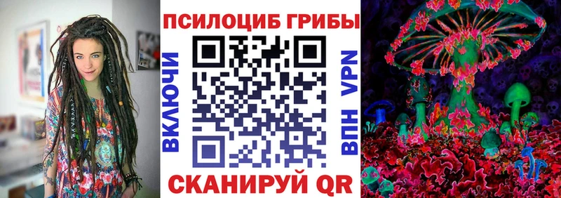 где продают наркотики  Большой Камень  Псилоцибиновые грибы Magic Shrooms 