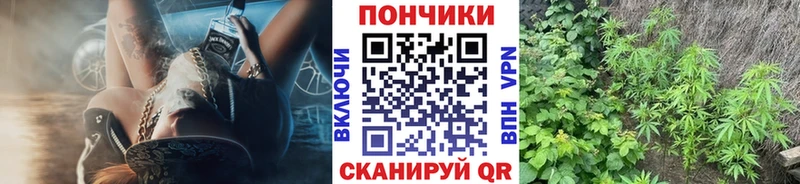 Бошки марихуана планчик  что такое   Большой Камень 